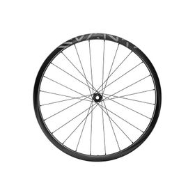 Campagnolo LEVANTE CARBON DISC TUBELESS ARRIERE XDR